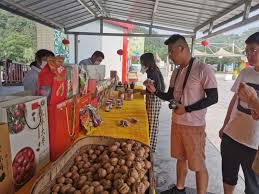进口大豆依赖度变化对国家粮食安全的深远影响